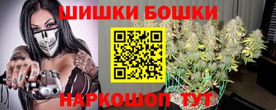 крисы Бийск