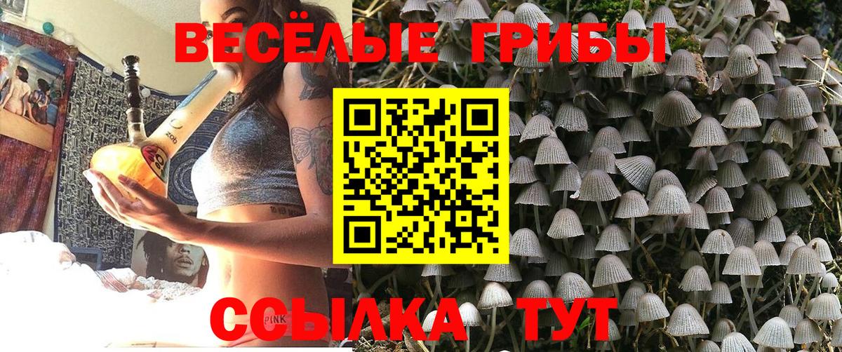 Псилоцибиновые грибы мицелий  Вход с VPN  Каменск-Уральский 