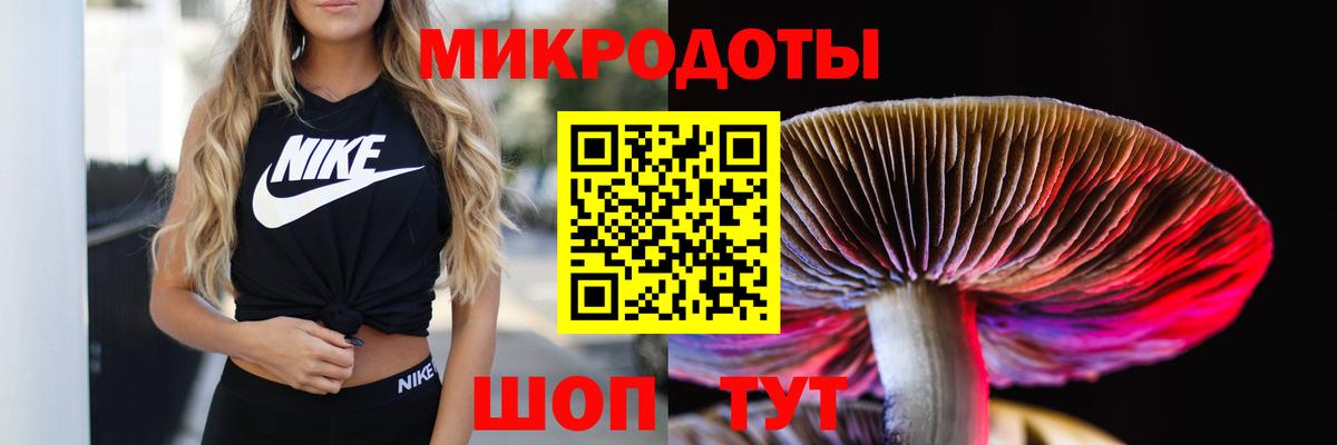 Галлюциногенные грибы MAGIC MUSHROOMS Каменск-Уральский